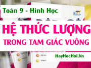 Tỉ số lượng giác và hệ thức lượng trong tam giác vuông (Toán 9)